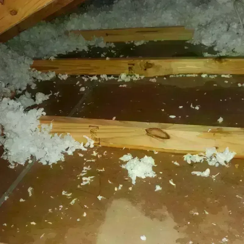 Attic Water Damage in Enumclaw, WA